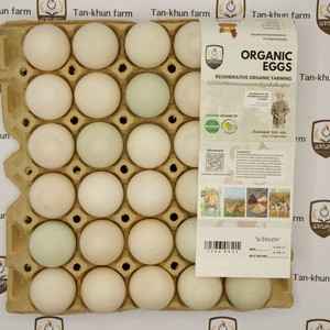 Organic duck eggs size #L (Tray)