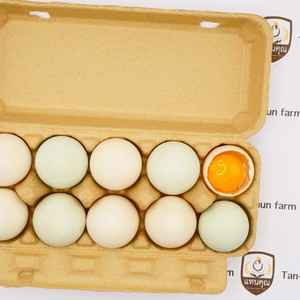 Organic duck eggs size #M (Box)