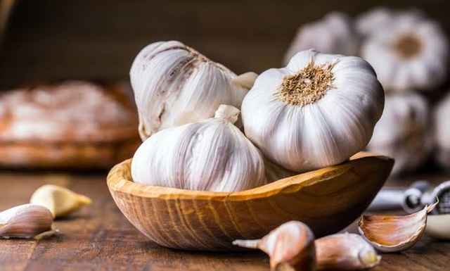 Organic Garlic