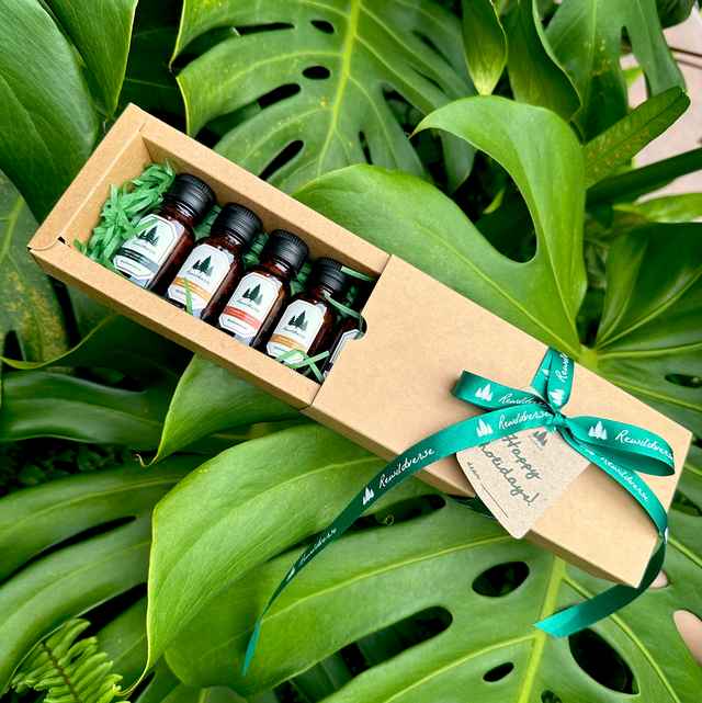 Aromatherapy Inhaler Set (5 Bottles)