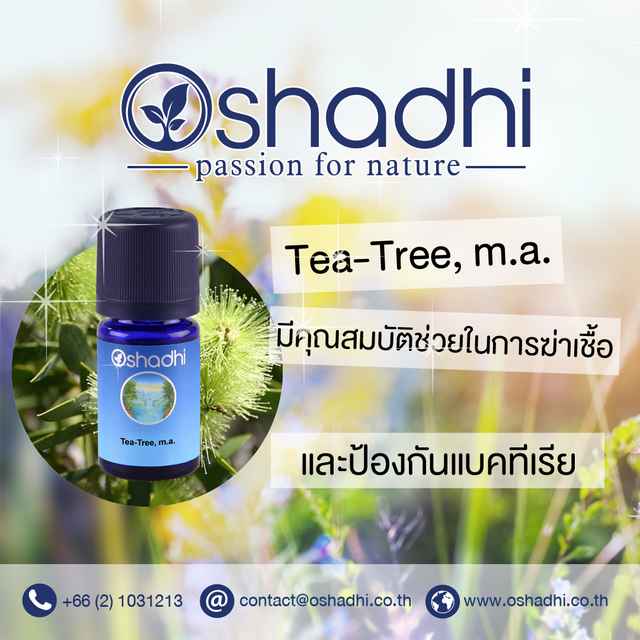 Oshadhi Tea-Tree, m.a. Essential Oil