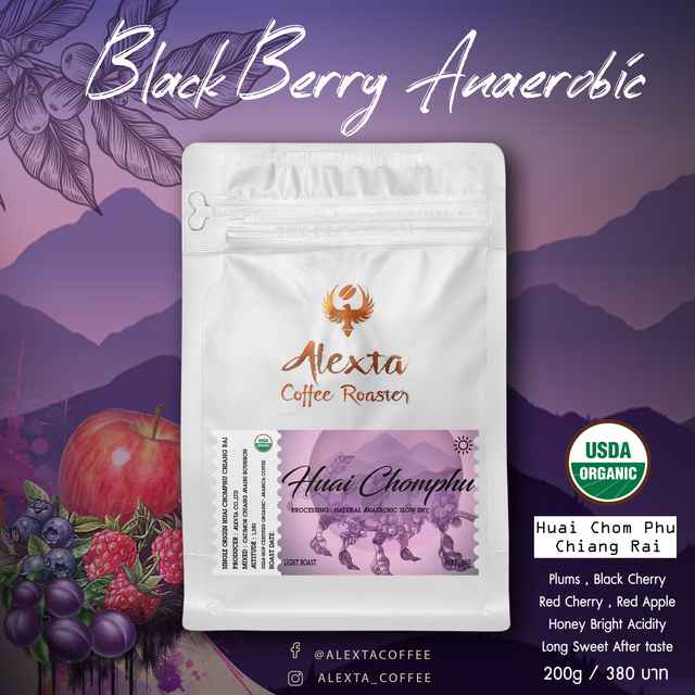 Coffee : Black Berry Anaerobic