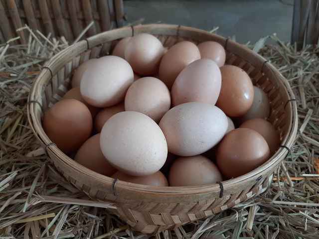 ไข่ไก่ออร์แกนิกหนองหว้า ขนาด M