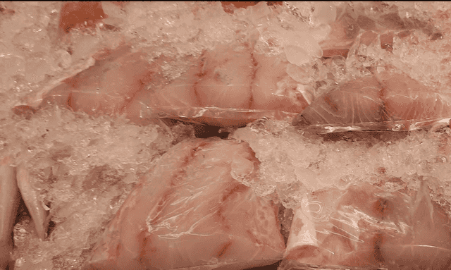 Seabass Meat