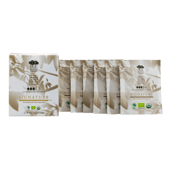Organic Coffee : Signature Drip Blend