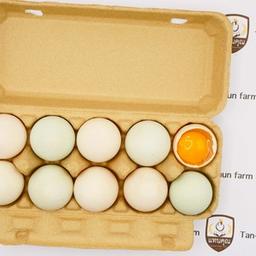 Organic duck eggs size #L (Box)
