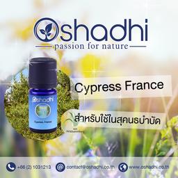 Oshadhi Cypress France Essential Oil