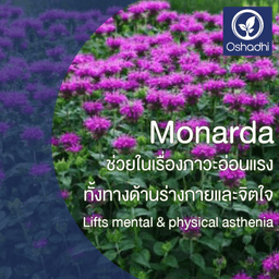 Oshadhi Monarda Essential Oil