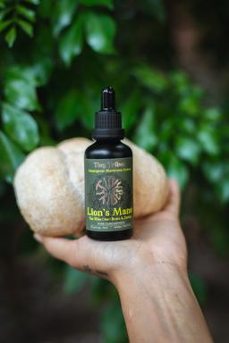 Adaptogenic Lion’s Mane Mushroom Potion