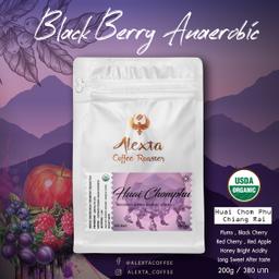 Coffee : Black Berry Anaerobic